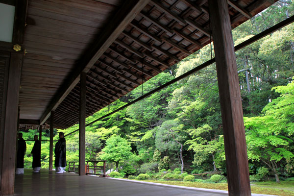 南禅院 青もみじ_e0048413_2017669.jpg