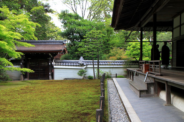 南禅院 青もみじ_e0048413_20181475.jpg