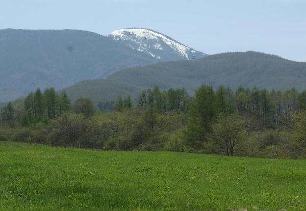 f0133013_172845.jpg