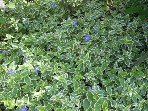 f0015614_89681.jpg