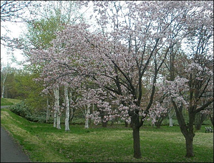 c0185115_2112513.jpg