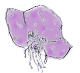 b0206521_11521772.gif