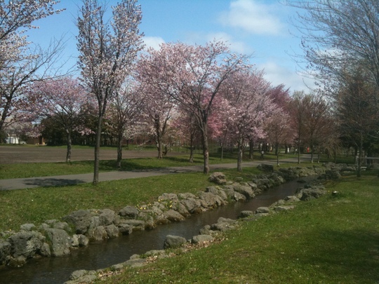 c0227522_127481.jpg