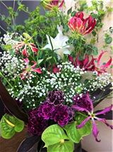 今週のお花_a0200423_2026797.jpg
