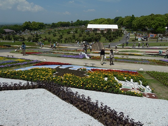 花かごしま２０１１_f0010925_20301773.jpg