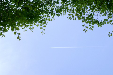 f0037726_9342971.jpg
