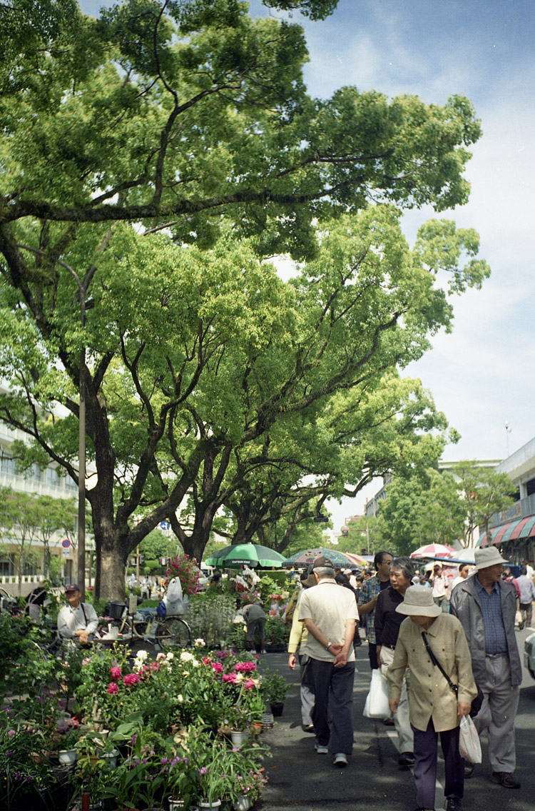e0006135_0284439.jpg