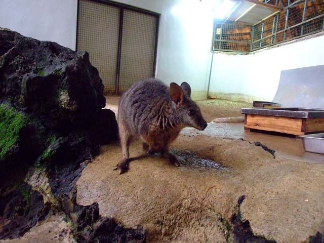 ももとまりもの平和な一日_a0179837_1472423.jpg