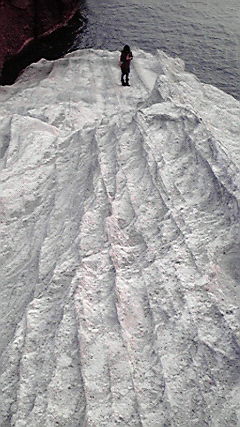 e0171737_194645100.jpg