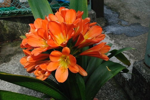 a0048040_22192654.jpg