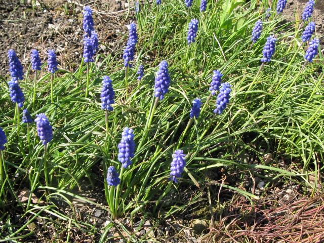 b0207642_9544667.jpg