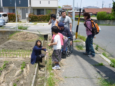 5月・ねっこイベント・木片でパズルや遊ぶものを作ろう_c0217044_1235796.jpg