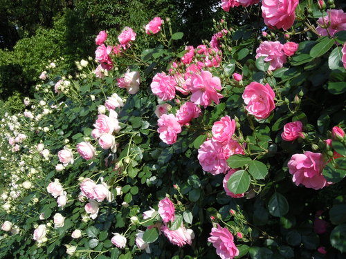 d0227044_18401141.jpg