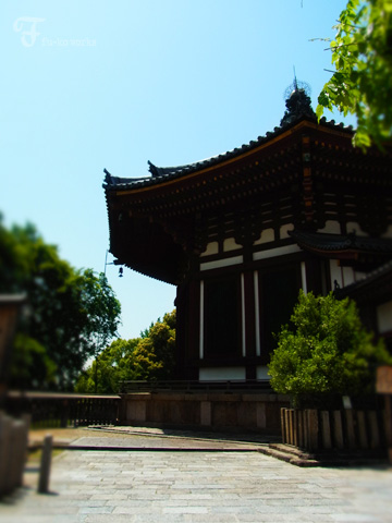 奈良へ。_d0227246_11213578.jpg