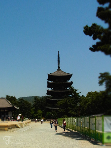 奈良へ。_d0227246_11214242.jpg