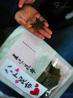 奈良へ。_d0227246_1121896.jpg
