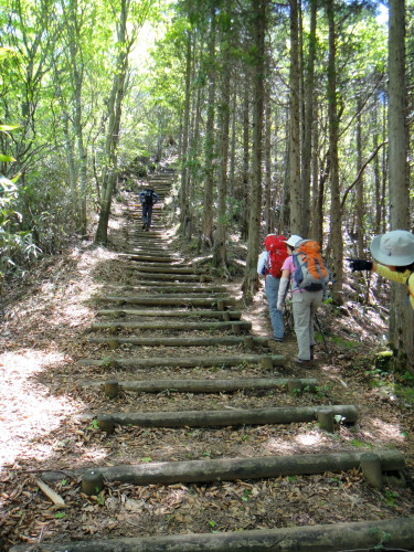 ４５回 　７３座　２０１１年５月１４日　二上山　諸塚山_c0179351_20161919.jpg