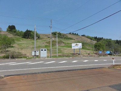 すっかり緑になりました_a0084753_9551595.jpg