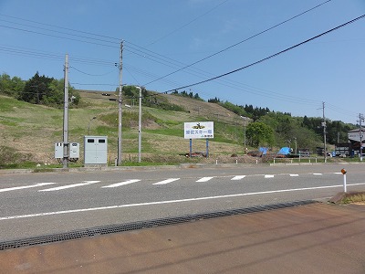 すっかり緑になりました_a0084753_9553979.jpg