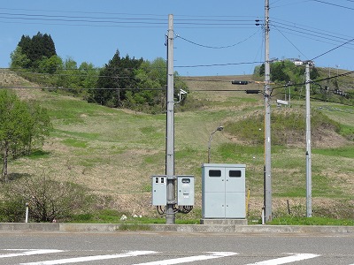 すっかり緑になりました_a0084753_9554828.jpg