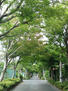 e0130657_15103449.jpg