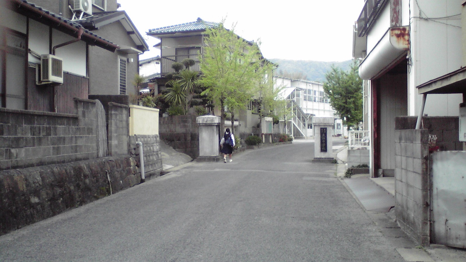 f0160860_849478.jpg