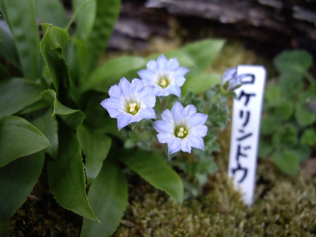 e0096862_23541079.jpg