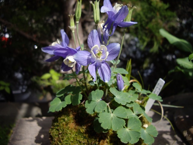 e0096862_23543750.jpg
