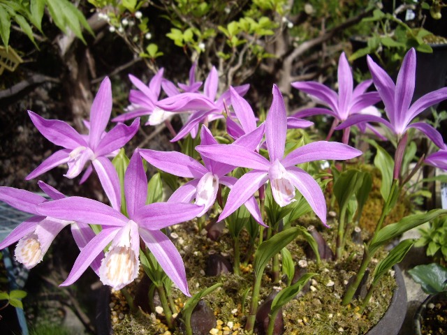 e0096862_2355552.jpg