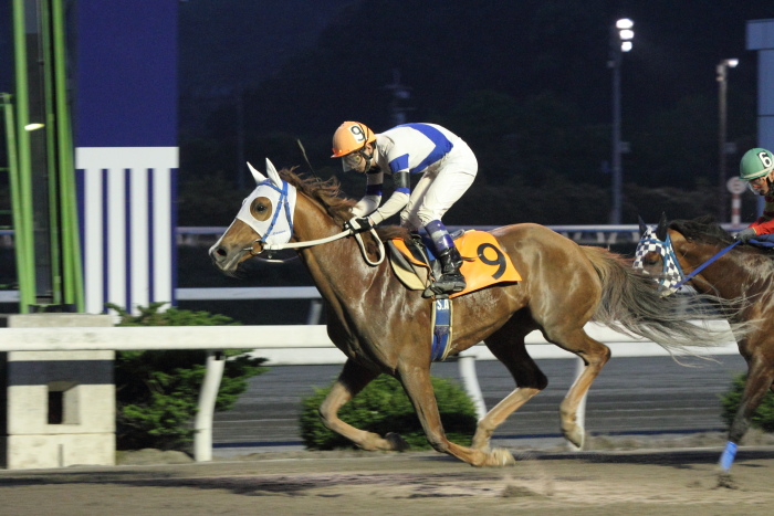 2011年5月9日（月） 高知競馬 8R サンケイスポーツ協賛 週刊ギャロップ特別 A-3_a0077663_16593193.jpg