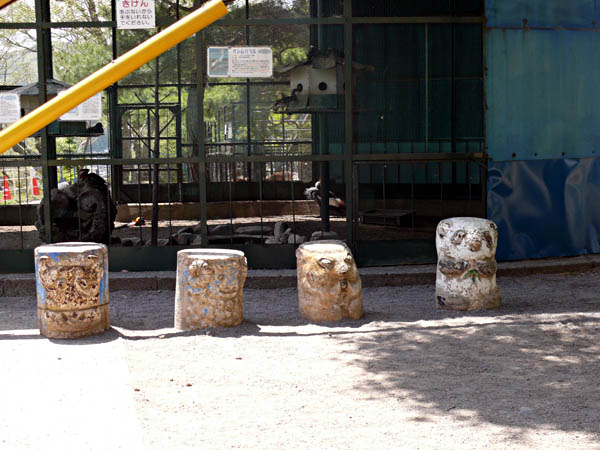 信州最古の動物園で動物以外鑑賞_d0138170_19531966.jpg