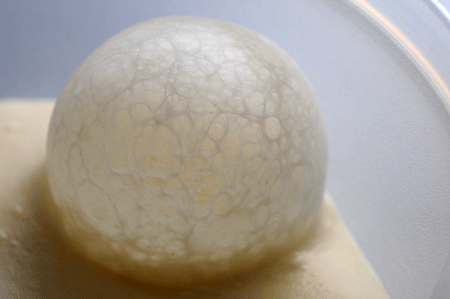 c0196673_9202596.gif