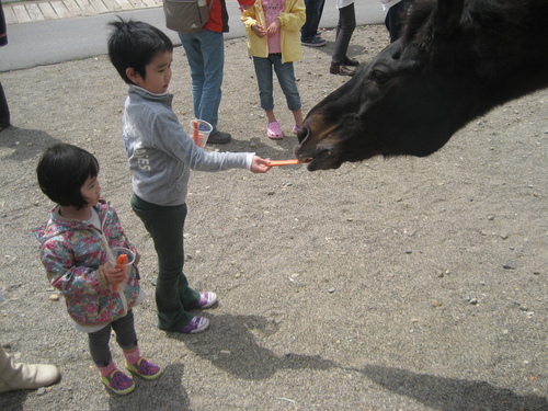 ちょっぴり旅行気分！？_d0197976_1564252.jpg