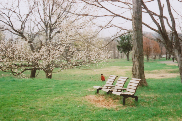 真駒内公園を散歩する_c0160185_20445231.jpg