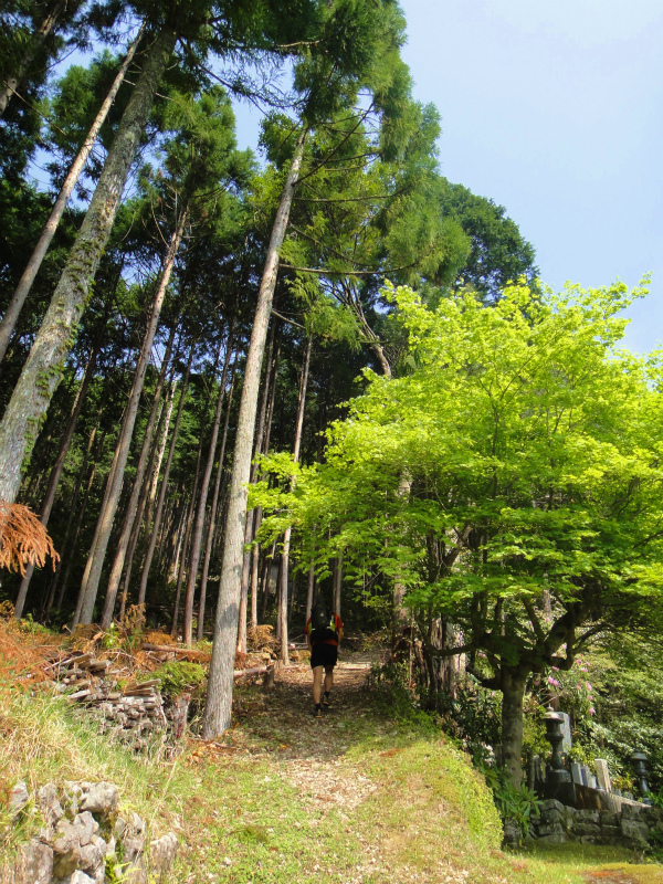 果無山脈ファストパッキング 2011/5/09-10 _b0220886_22114477.jpg