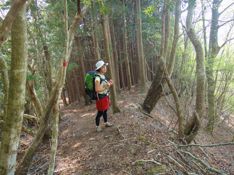 果無山脈ファストパッキング 2011/5/09-10 _b0220886_22172926.jpg