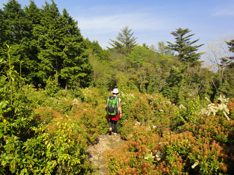 果無山脈ファストパッキング 2011/5/09-10 _b0220886_22221344.jpg