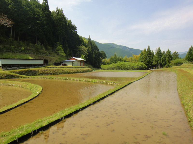 果無山脈ファストパッキング 2011/5/09-10 _b0220886_228526.jpg