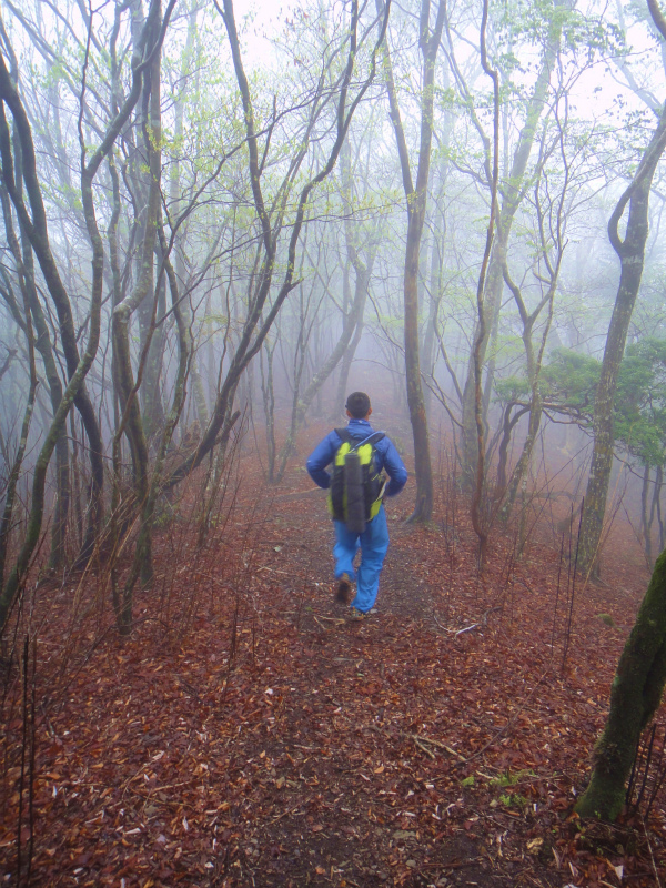 果無山脈ファストパッキング 2011/5/09-10 _b0220886_23283285.jpg