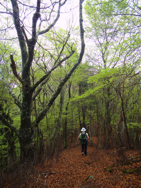 果無山脈ファストパッキング 2011/5/09-10 _b0220886_23342740.jpg