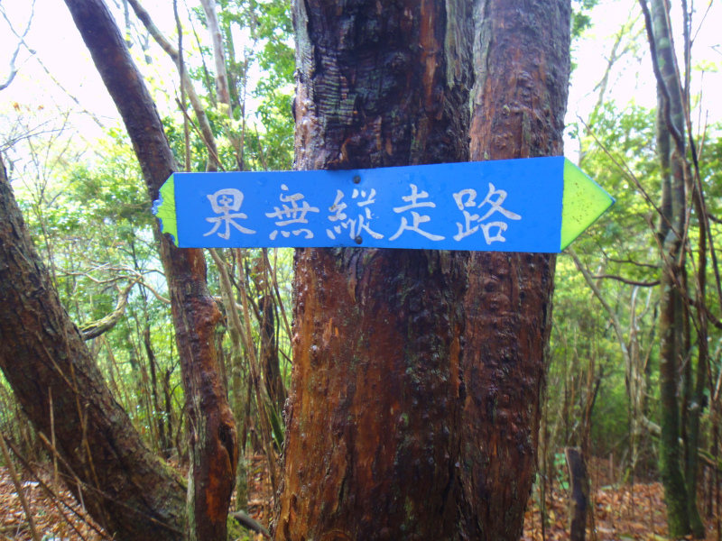 果無山脈ファストパッキング 2011/5/09-10 _b0220886_23375749.jpg