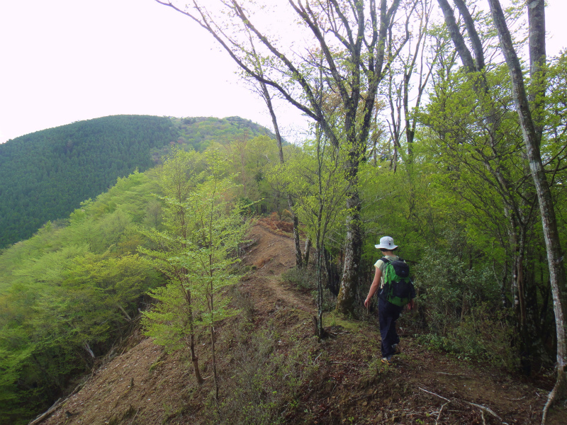 果無山脈ファストパッキング 2011/5/09-10 _b0220886_23385784.jpg
