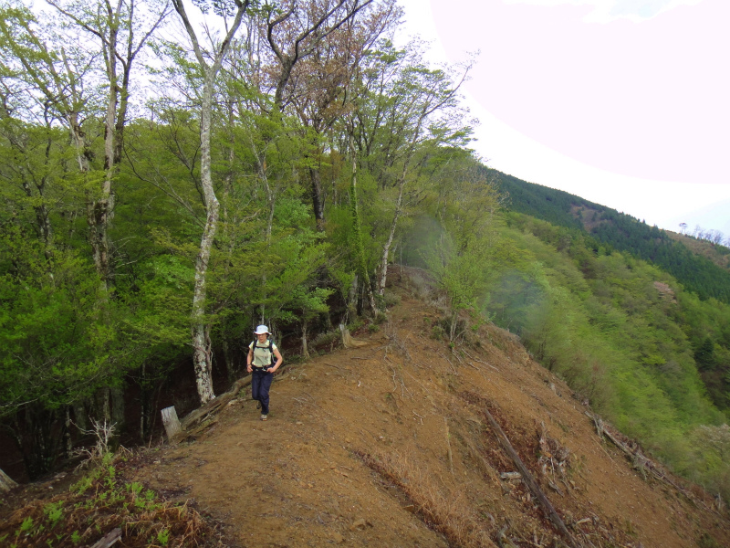 果無山脈ファストパッキング 2011/5/09-10 _b0220886_23394157.jpg