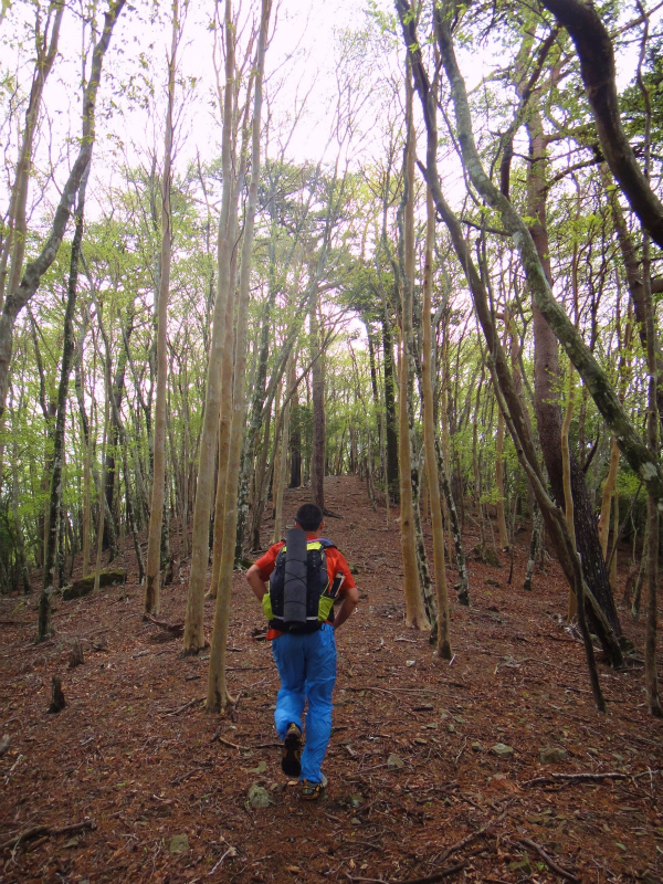 果無山脈ファストパッキング 2011/5/09-10 _b0220886_23465532.jpg