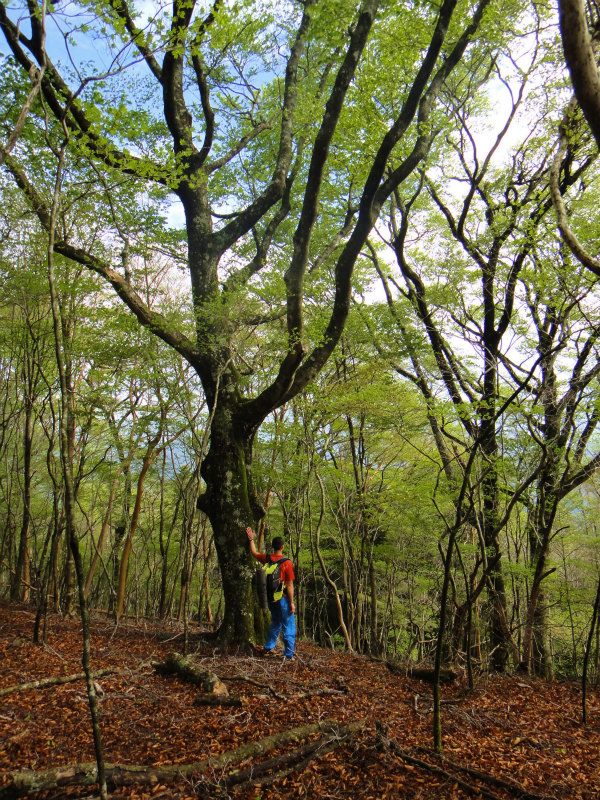 果無山脈ファストパッキング 2011/5/09-10 _b0220886_23475664.jpg
