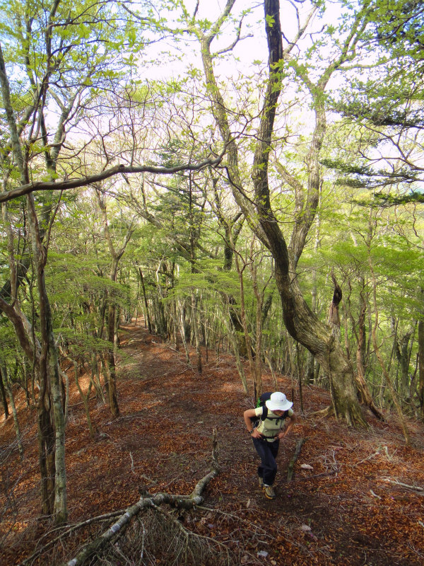 果無山脈ファストパッキング 2011/5/09-10 _b0220886_23483427.jpg