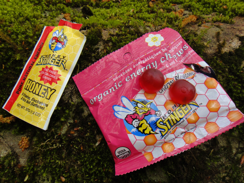 果無山脈ファストパッキング 2011/5/09-10 _b0220886_23555534.jpg