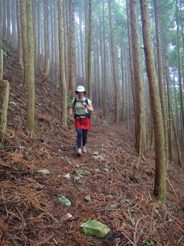果無山脈ファストパッキング 2011/5/09-10 _b0220886_23575746.jpg