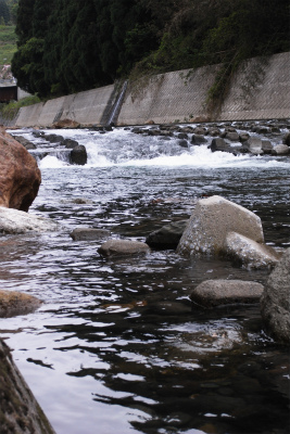 d0129886_12231961.jpg