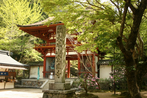 奈良散策記 その1 女人高野室生寺_b0118987_18515436.jpg